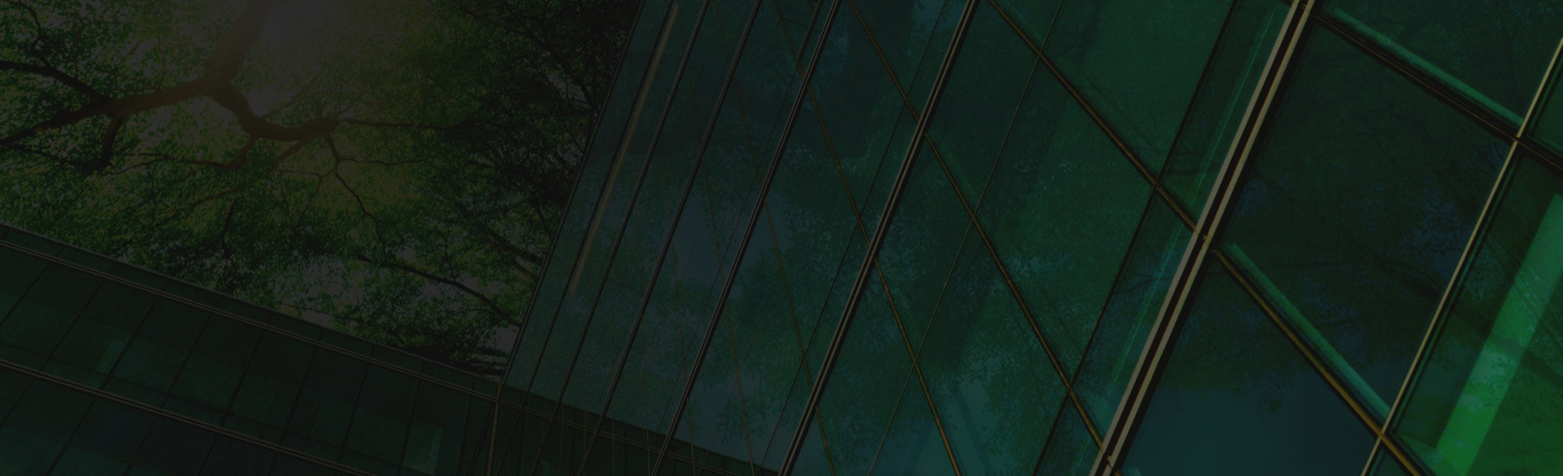 bg-header-rsc
